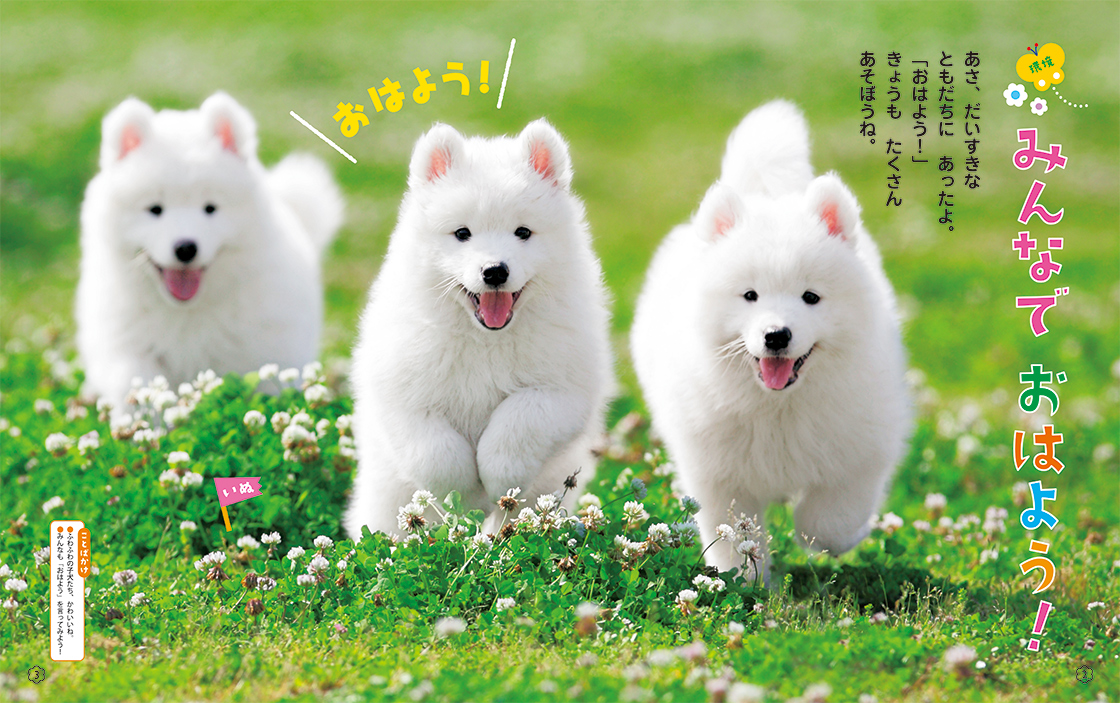 環境