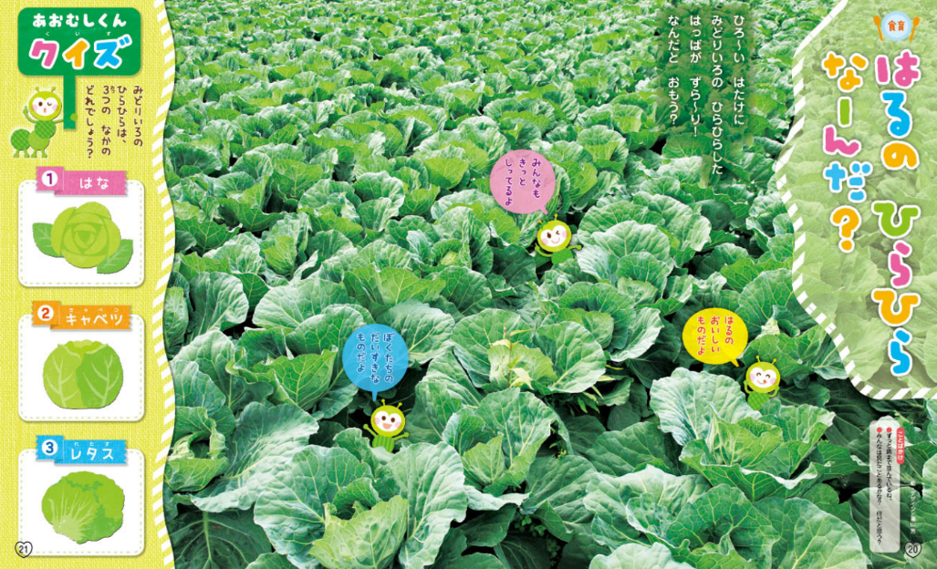 食育