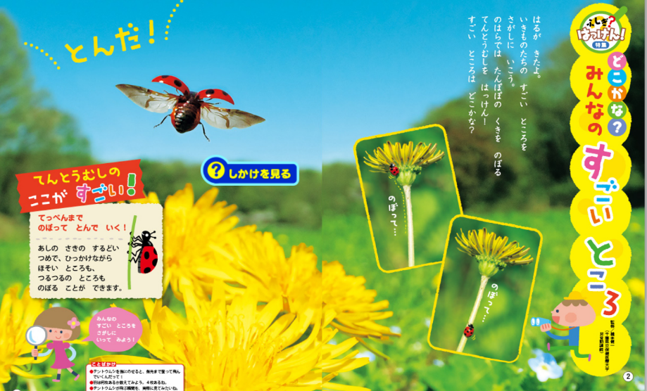 特集