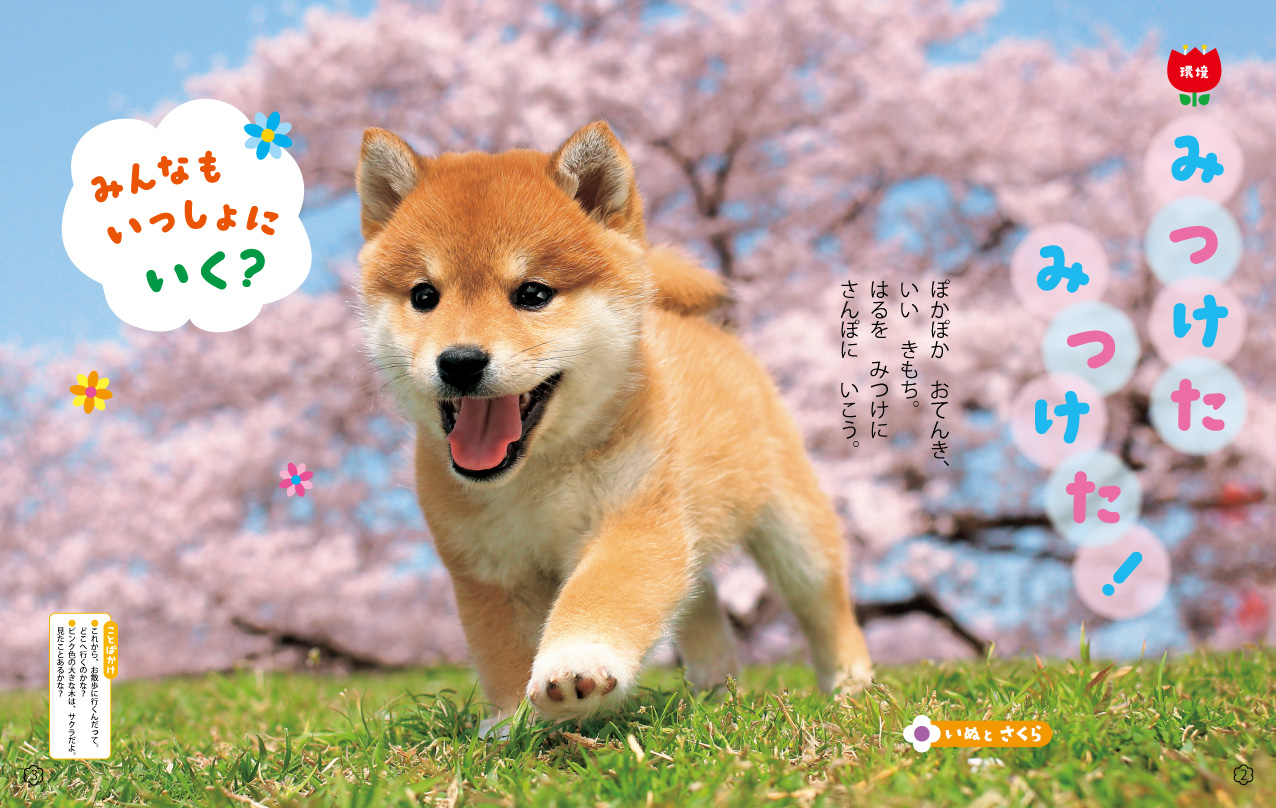 環境
