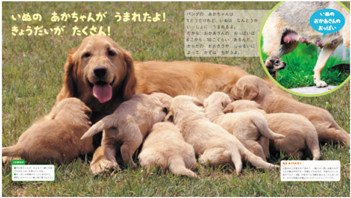 4月【生き物】うまれたよ!