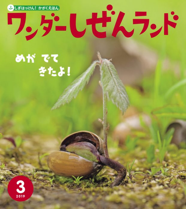 芽が出てきたよ!【ワンダーしぜんランド 2019年3月号】