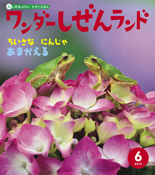 ちいさな にんじゃ あまがえる【ワンダーしぜんランド 2019年6月号】