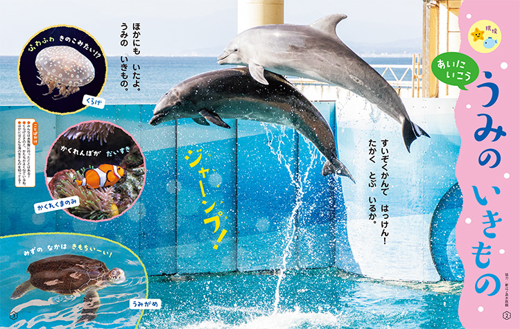 あいに いこう うみの いきもの