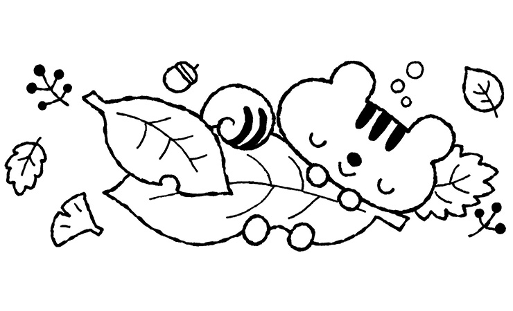 Hd限定イラスト りす 最高の動物画像